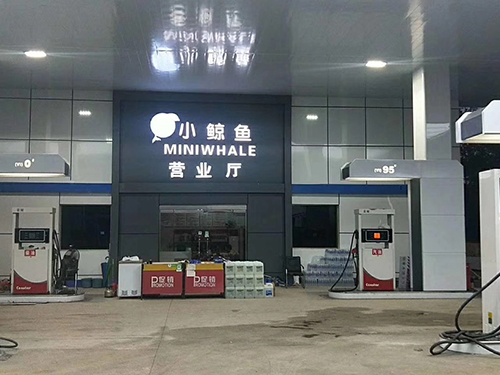 桃色视频在线看